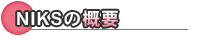 NIKS�T�v