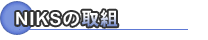 NIKS�̎�g