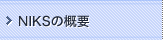 NIKS�̊T�v