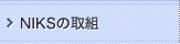 NIKS�̎�g
