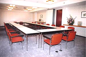 meeting.jpg (58169 oCg)